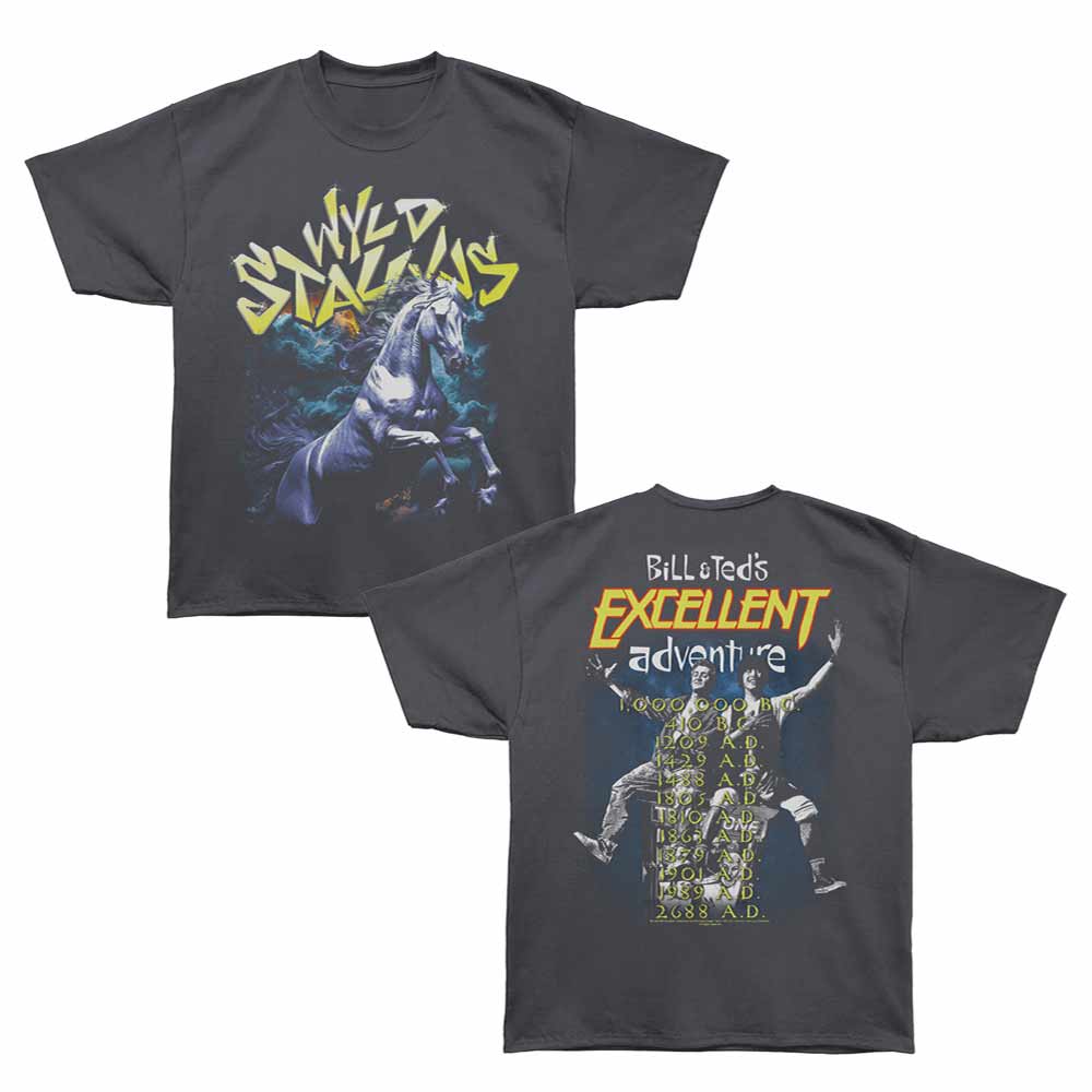Bill And Ted-bnt Wyld Stallyns Tour- Graphite Bronx Adult Oversized S/s Tshirt ***f&b***