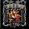Lynyrd Skynyrd Fridge Magnet: Devil In The Bottle